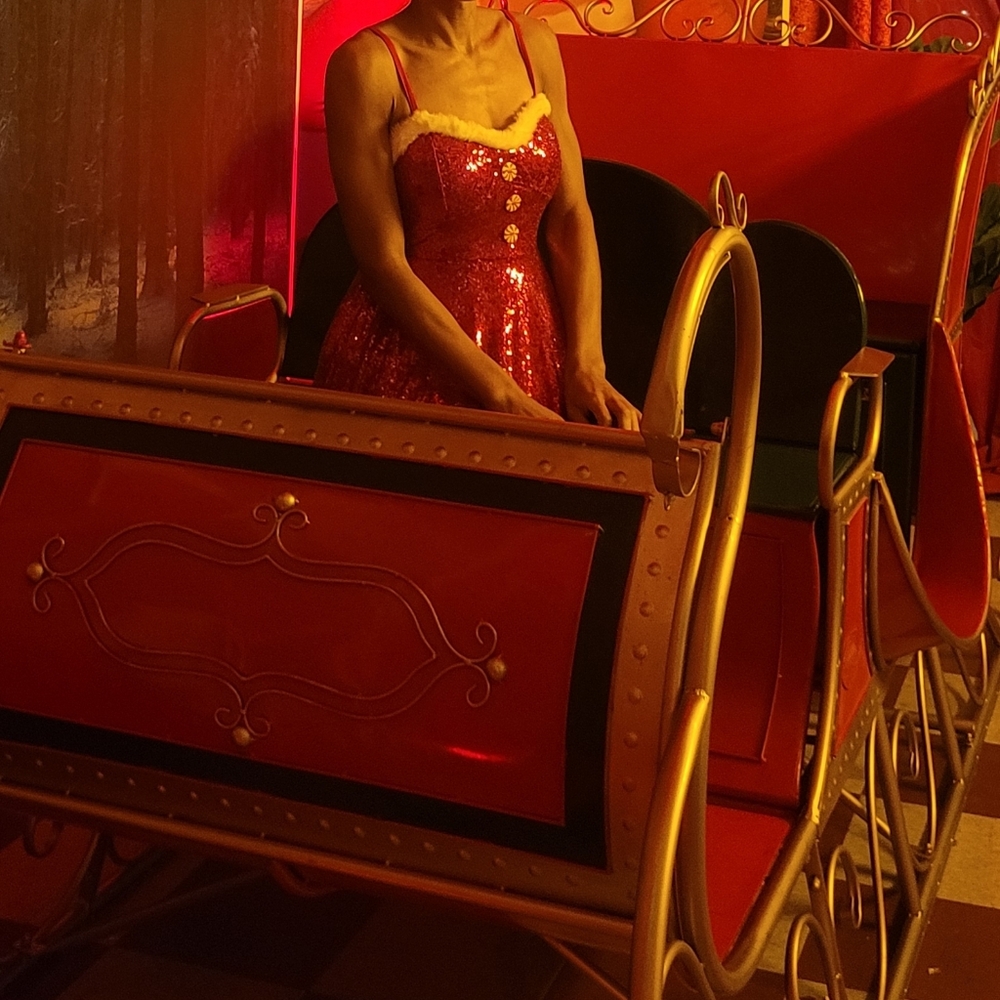 No Boundaries Festive Red Sequin Dress with White Accents - Picture 6 of 6